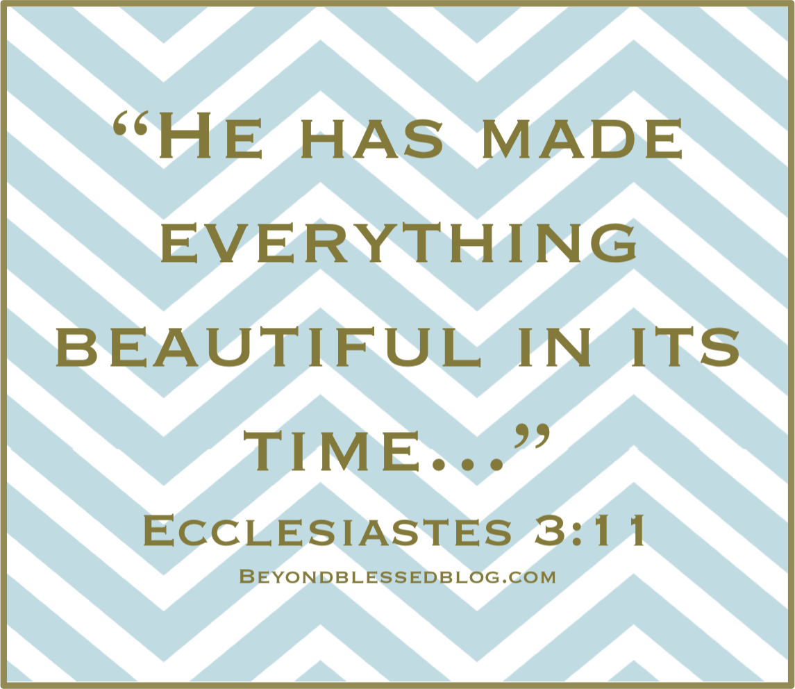 Ecclesiastes411 Beyond blessed blog