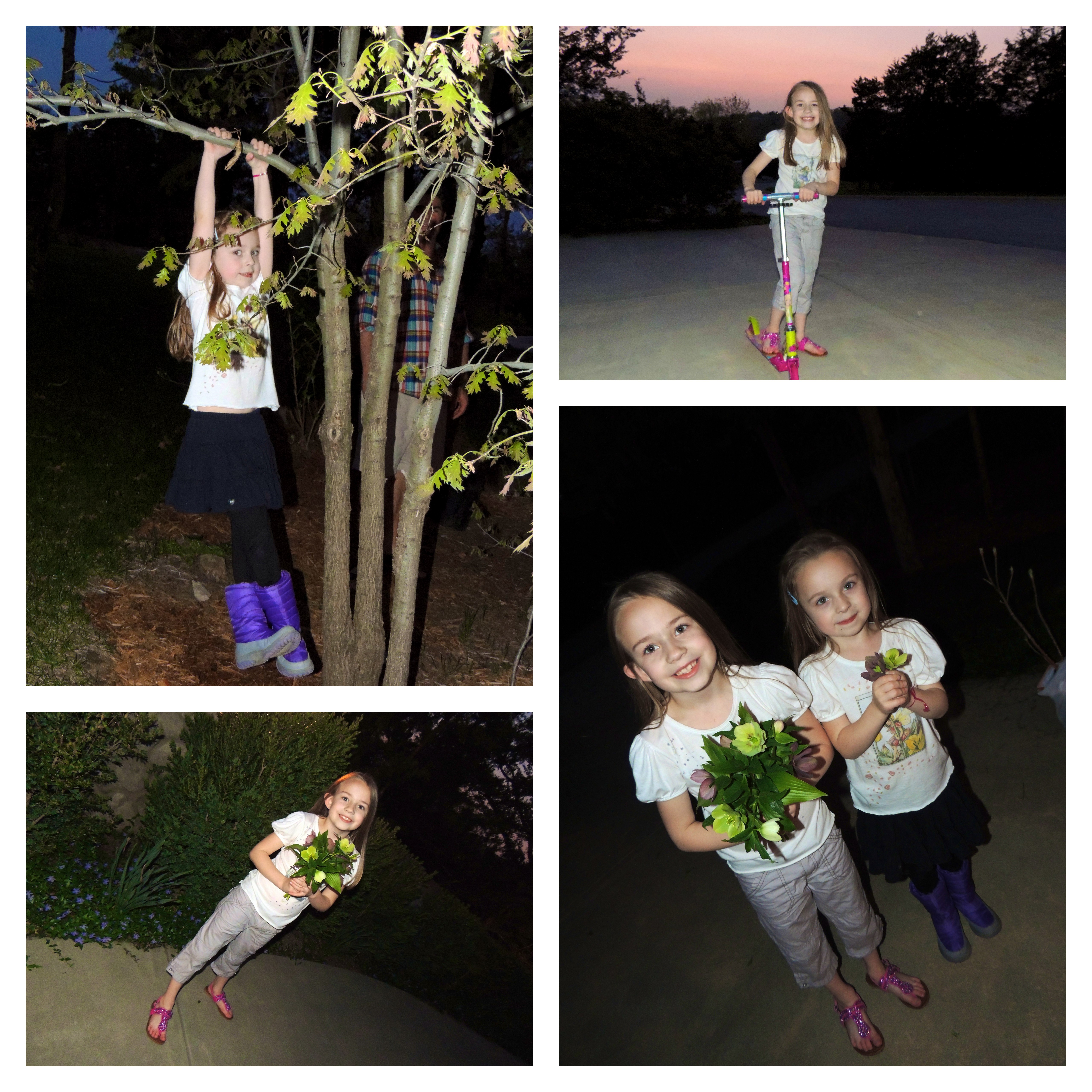 playing outside & they picked us fresh flowers